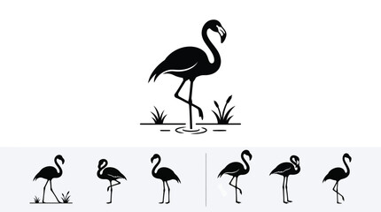 Black silhouette flamingo standing in water with grass © lahiru