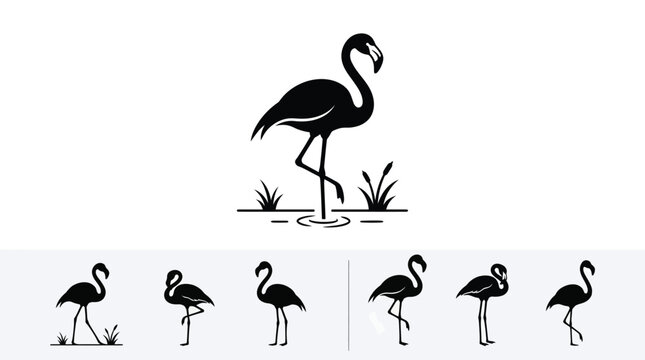 Black silhouette flamingo standing in water with grass
