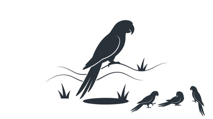 Fototapeta premium Black silhouette of parrots on grass branch