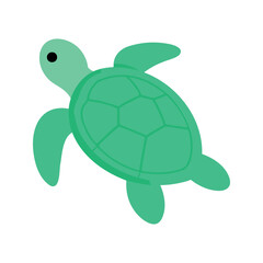 Obraz premium Simple illustration of a sea turtle with smooth shell and flippers on a white background