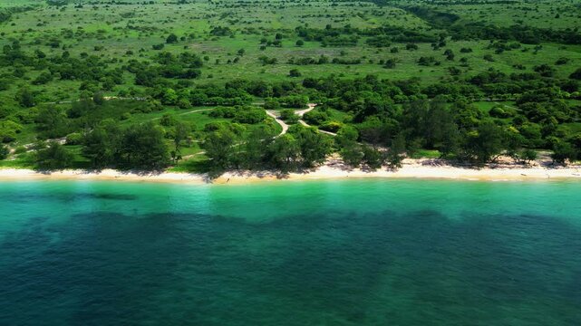 Puru Kambera Beach, Pristine White Sand and Savanna Coastline in East Sumba
