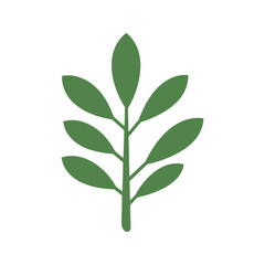 Fototapeta premium Elegant botanical illustration of a simple green leaf branch on a white background