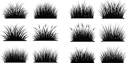 Grass silhouette collection set with meadow and lawn elements for landscaping design, garden borders and natural vegetation illustration © Millat