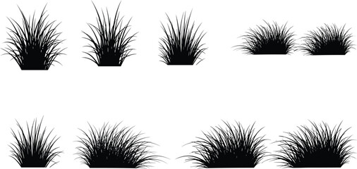 Grass silhouette collection set with lawn tufts and meadow plants for landscaping design, garden borders and natural vegetation illustration © Millat