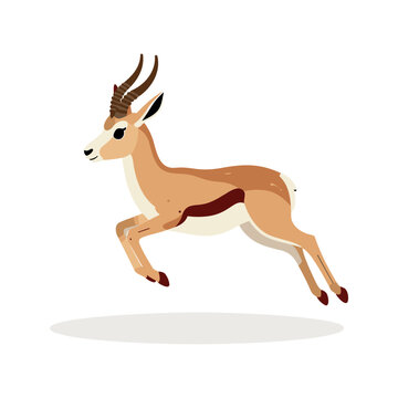 Cartoon springbok is jumping forward with curved horns on a white background