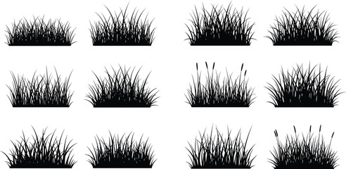 Grass silhouette collection set with wild meadow tufts for landscaping design, garden borders and natural vegetation vector illustration © Millat