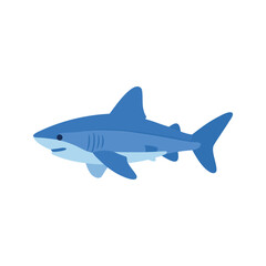 Fototapeta premium Illustration of a great white shark swimming with its mouth closed on a white background