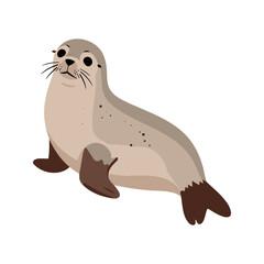 Fototapeta premium Cartoon style seal poses with its head slightly tilted looking towards the viewer