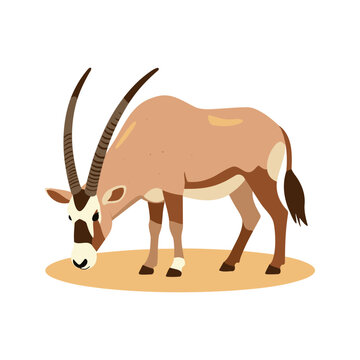Cute stylized oryx stands on tan ground in a vector illustration