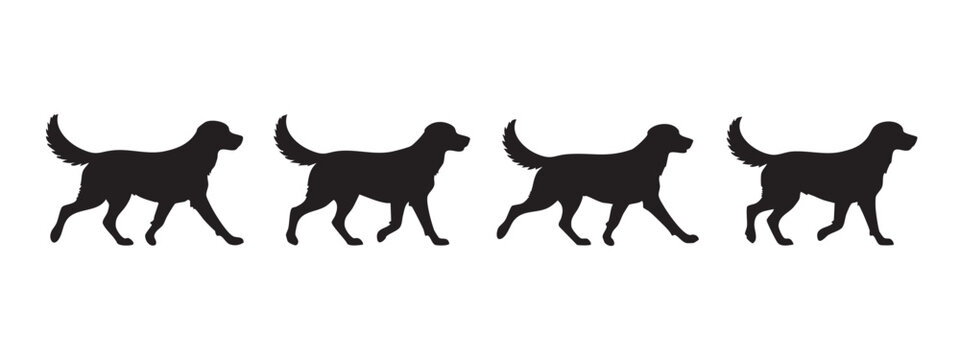 Domestic Dog Walking Silhouette Illustrations Set