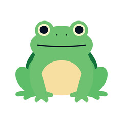 Fototapeta premium Cartoon frog sitting with a wide smile and a tan colored belly on white background