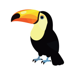 Fototapeta premium Cartoon style illustration of a colorful toucan against a white background