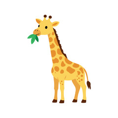 Obraz premium Cartoon giraffe with brown spots is standing and eating green leaves in its mouth