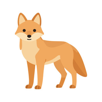 Golden jackals are members of the wolf family and are typically found in North Africa, Southeastern Europe and South Asia.