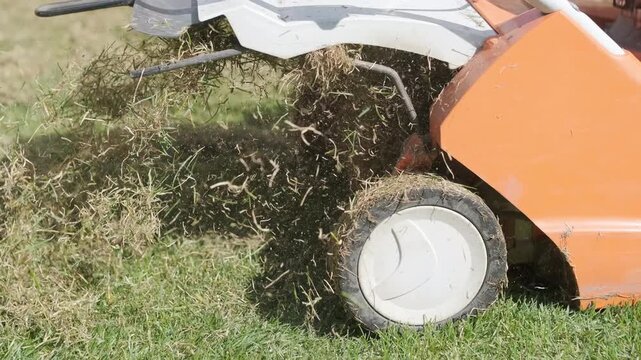 A man uses a professional gasoline scarifier to remove moss and thatch from a green lawn in a private house backyard.