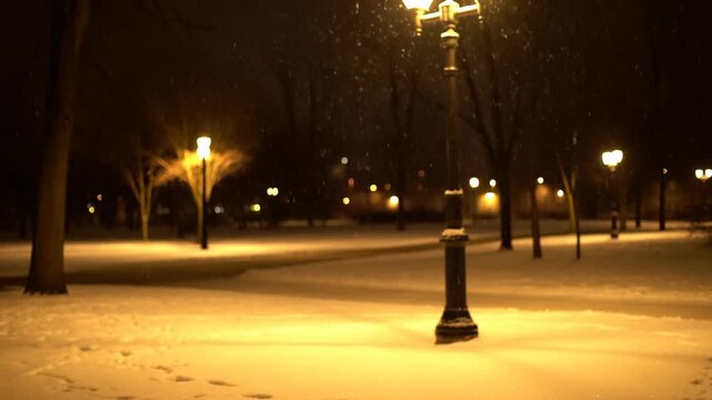 Static shot of lamppost casting warm light on falling snow across empty city park pathway and trees at night