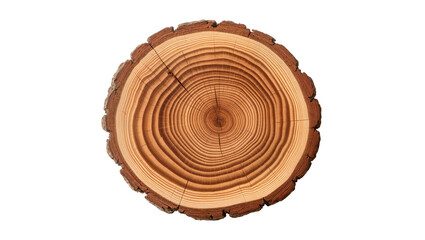 Rustic Brown Tree Trunk Cross Section with Visible Growth Rings © Stefan