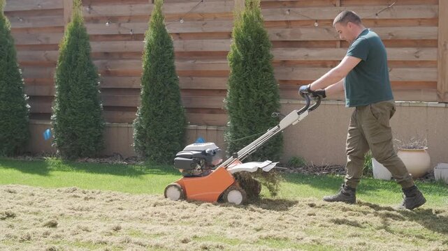 A man uses a professional gasoline scarifier to remove moss and thatch from a green lawn in a private house backyard.