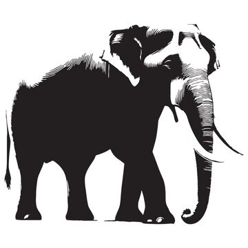 Asian Elephant, Elephas maximus, wildlife, mammal, jungle, forest, India, Sri Lanka, Thailand, endangered, conservation, nature, giant, herbivore, trunk, tusks, habitat, safari, biodiversity.