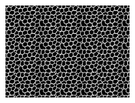 Voronoi cellular pattern background with organic cobblestone texture doodle style