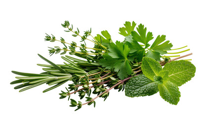 Fresh Green Herbs Parsley Thyme Mint Sprigs Bundle © Sindre