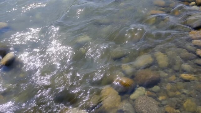 Static shot of river water flowing over shallow rocky riverbed with sunlight reflections on pebbles along stream shoreline