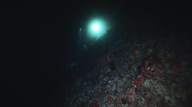 Divers shine a lantern deep underwater. Night diving in the Red sea near Egypt. Fishes, Underwater landscape, rocky pinnacles, canyons, walls and caves. Beautiful marine life ready for exploration.