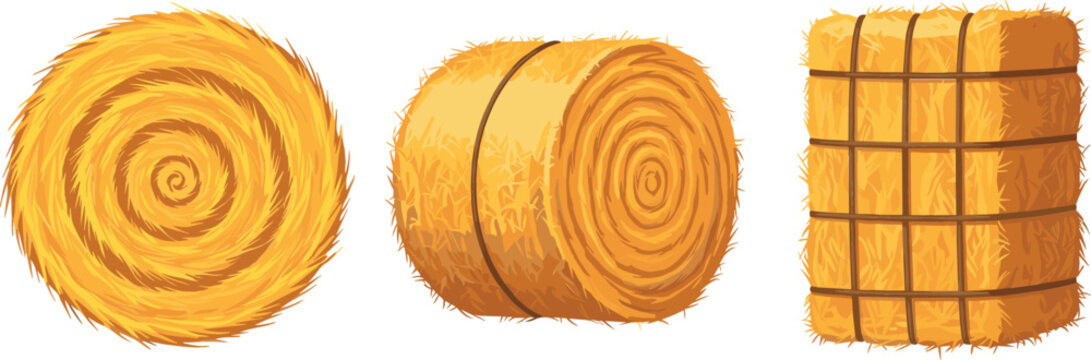 Hay Bales in Various Shapes and Styles for Farming, Agriculture, and Rural Landscape Vector Illustration