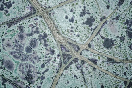 Macro thin section of unique tinguaite from Khibiny. Polished surface shows violet aegirine zones, light green nepheline matrix, lilac fluorite, and rare spotted-bubbly texture