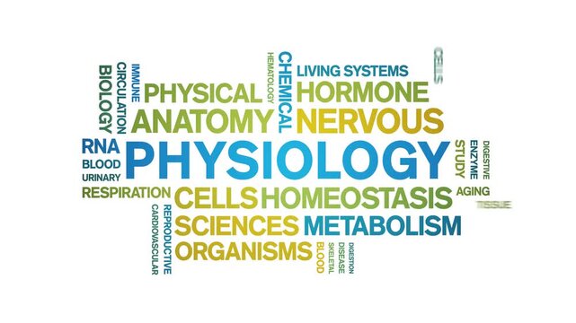 Physiology animated word cloud-text design animation tag kinetic typography seamless loop.