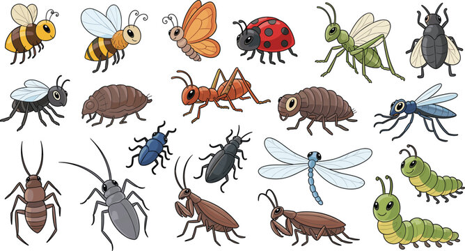 Cartoon Insect Collection Featuring Bees, Ants, Ladybugs, Grasshoppers, Butterflies, Dragonflies, and More for Nature and Outdoor Illustrations