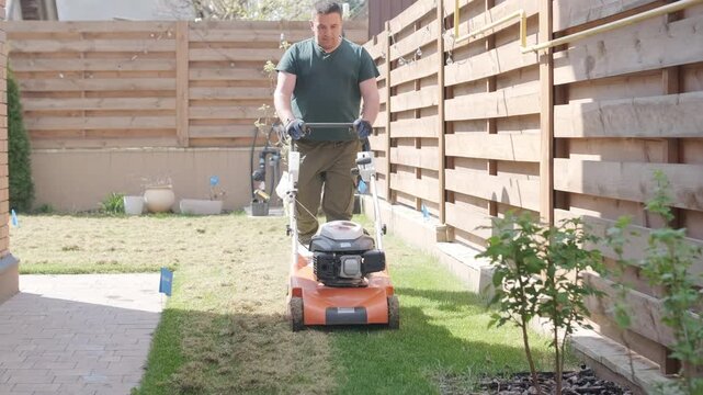 A man uses a professional gasoline scarifier to remove moss and thatch from a green lawn in a private house backyard.