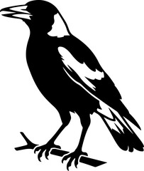 Obraz premium Australian magpie silhouette vector illustration