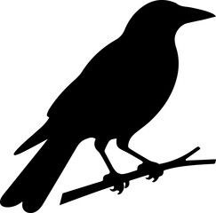 Obraz premium Australian magpie silhouette vector illustration