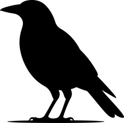 Obraz premium Australian magpie silhouette vector illustration