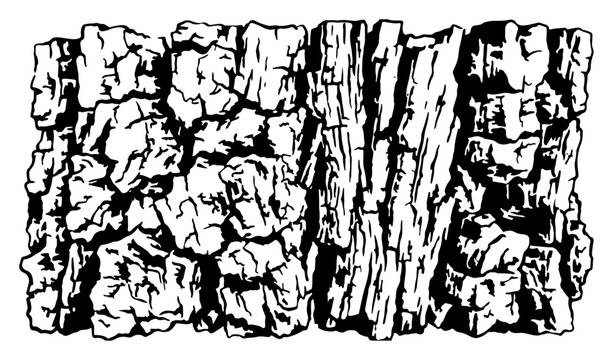 Tree bark texture background with organic wood surface details