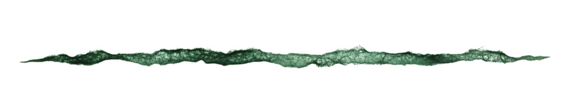 Green torn paper strip with detailed fibrous edges.