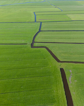 Aerial view of vibrant green polder fields and geometric water canals under bright daylight Heiloo, North Holland, Netherlands.