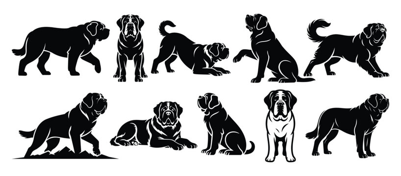 Saint Bernard Dog Silhouette Set Vector Collection | Giant Alpine Rescue Breed Outline Bundle