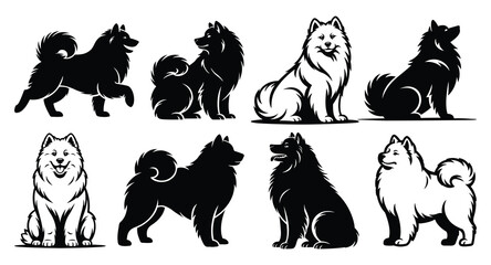 Samoyed Dog Silhouette Set Vector Collection   Fluffy Arctic Spitz Smiling Breed Outline Bundle © Toufik