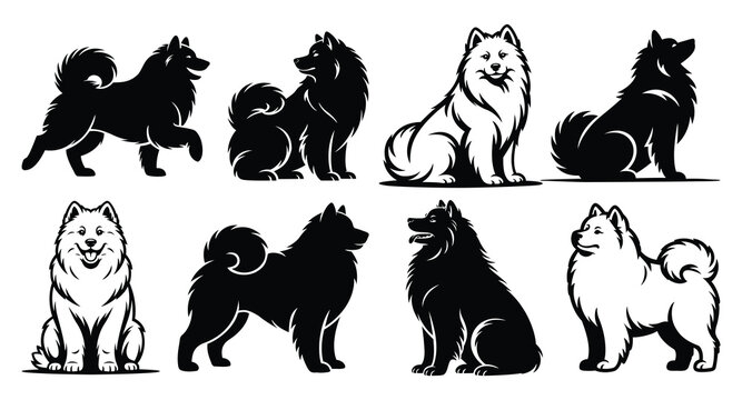 Samoyed Dog Silhouette Set Vector Collection | Fluffy Arctic Spitz Smiling Breed Outline Bundle