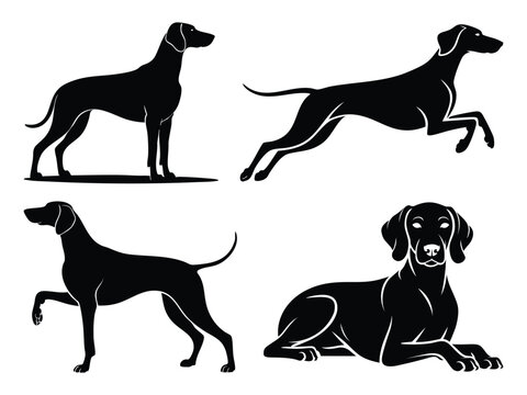 Weimaraner Dog Silhouette Set Vector Collection | Elegant Hunting Gundog Outline Bundle
