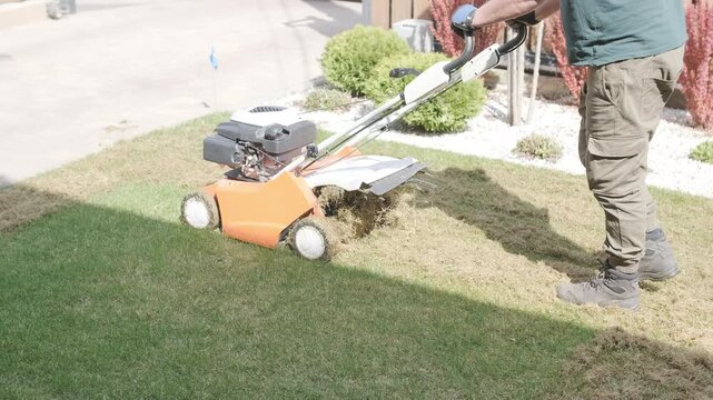 A man uses a professional gasoline scarifier to remove moss and thatch from a green lawn in a private house backyard.