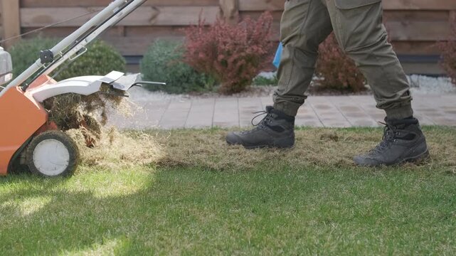 A man uses a professional gasoline scarifier to remove moss and thatch from a green lawn in a private house backyard.