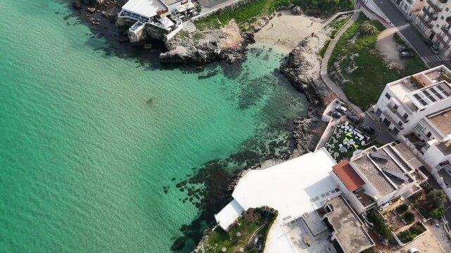 Mediterranean Coastal Aerial View with Turquoise Sea and Luxury Villas in Monopoli, Italy