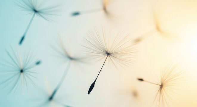 Dandelion seeds float through the air against a soft gradient background.