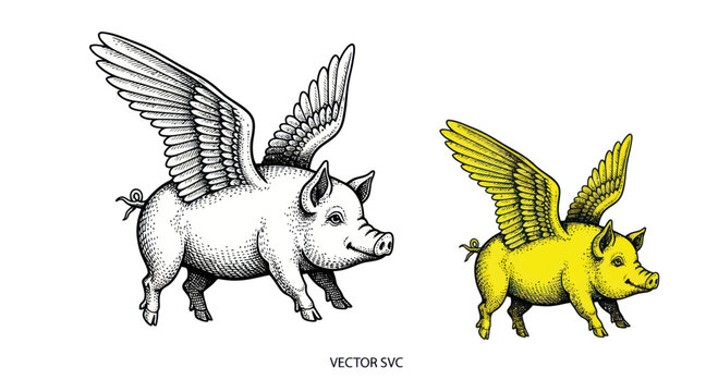 Flying Pig Illustration - Black and White and Yellow