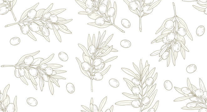 Delicate seamless pattern of olive branches and individual olives in a hand-drawn sketch style for elegant kitchen or food packaging design.