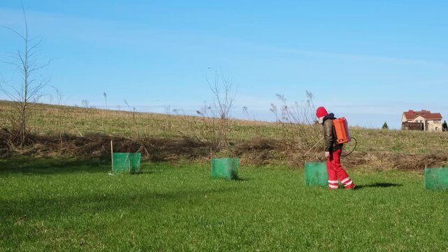 Worker spraying pesticide on a backyard for pest control, close-up, handles bushes. Gardening care work season. Early spring treatment of fruit trees, fungicide. Protecting the garden from diseases 4K