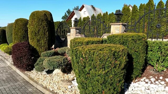 Luxury modern garden with geometrically trimmed shrubs creating tiered natural decorations.